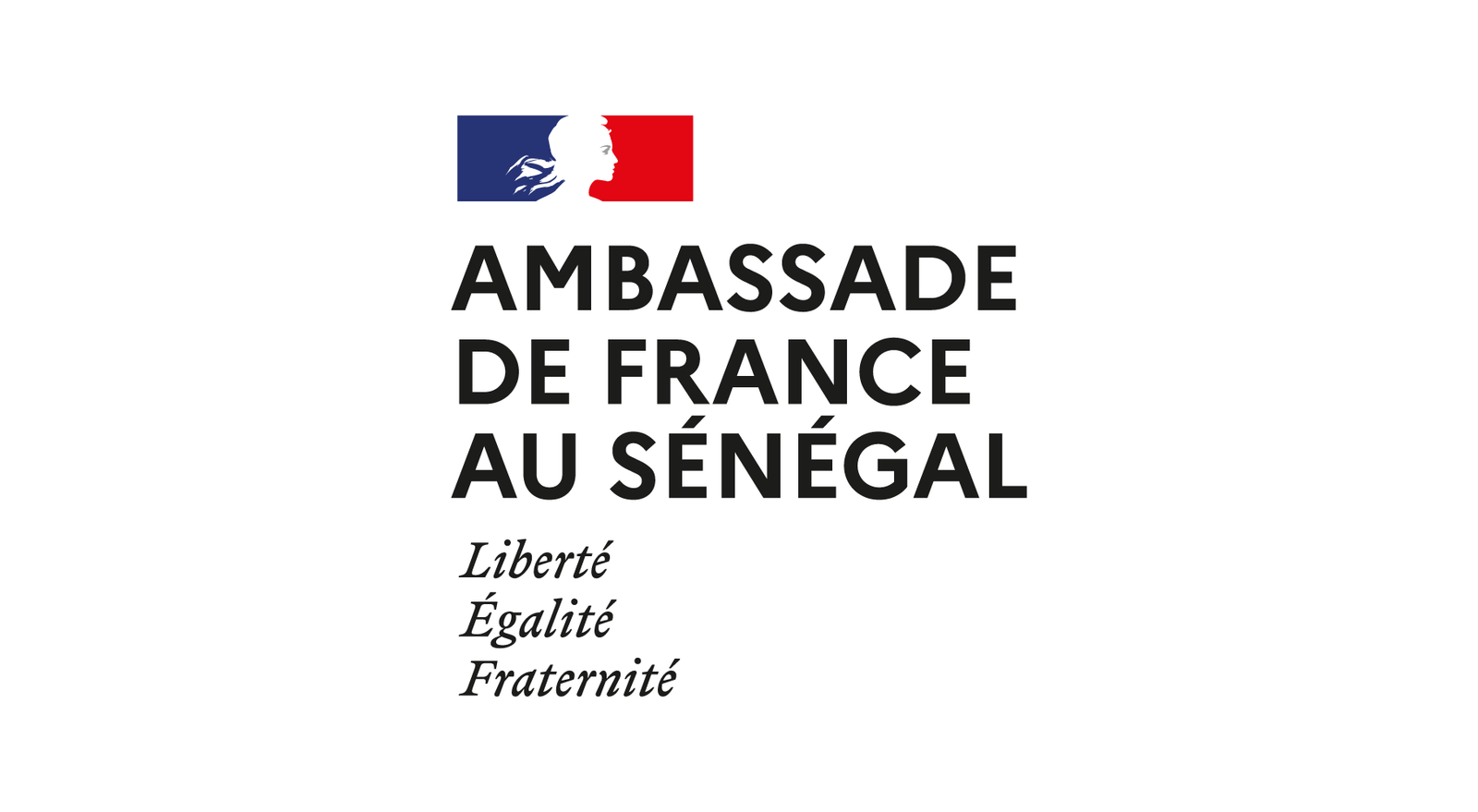 LOGO AMBASSADE DE FRANCE